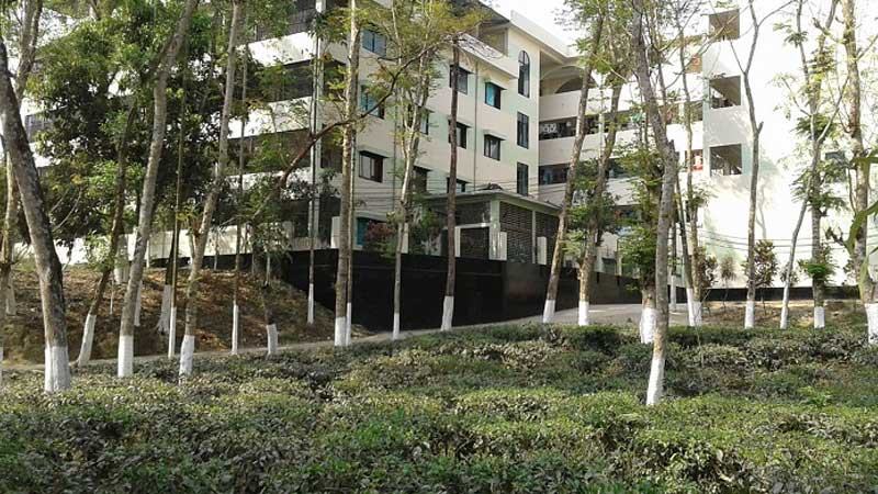 ক্ষতিপূরণ দেননি রাগীব আলী গভীর সংকটে তারাপুর চা বাগান