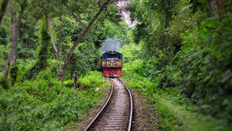 রেললাইনে গাছ পড়ায় দেড় ঘণ্টা বন্ধ রেলযোগাযোগ