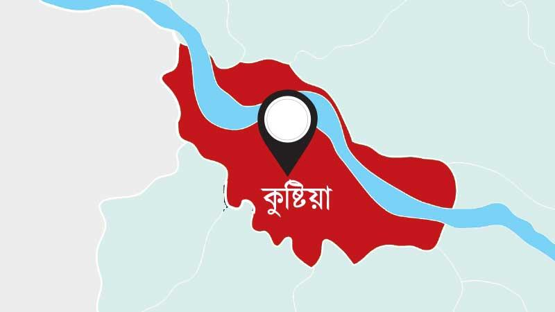 কুষ্টিয়ায় পুলিশ কর্মকর্তার গুলিতে তিনজন নিহত