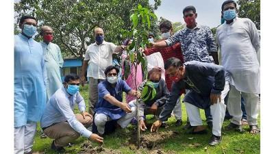 জয়পুরহাটে জেলা পরিষদের বৃক্ষ রোপণ