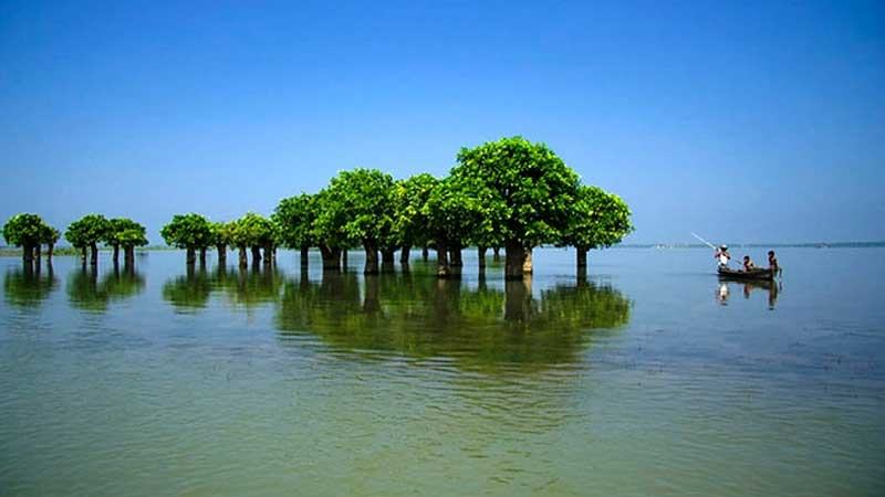 হাওরে বাঁধ ব্যবস্থাপনায় জীববৈচিত্র্য রক্ষার দাবি