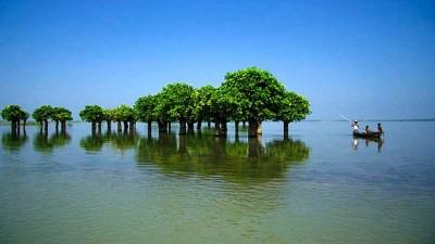 হাওরে বাঁধ ব্যবস্থাপনায় জীববৈচিত্র্য রক্ষার দাবি