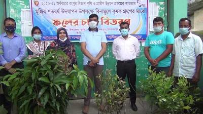 হিলিতে কৃষকদের মাঝে গাছের চারা বিতরণ