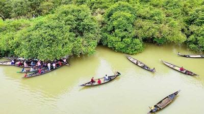 দেশীয় মাছের বিলুপ্তি ঠেকাতে রাতারগুলে অভয়াশ্রম