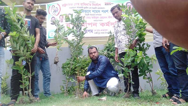 লক্ষ্মীপুরে ব্যক্তি উদ্যোগে বৃক্ষরোপণ ও বিতরণ