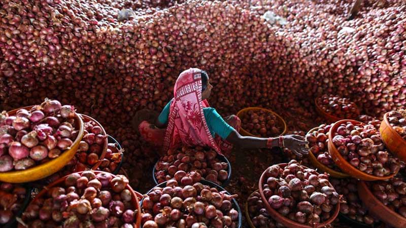 হিলিতে পেঁয়াজের পাইকারি দাম নিম্নমুখী