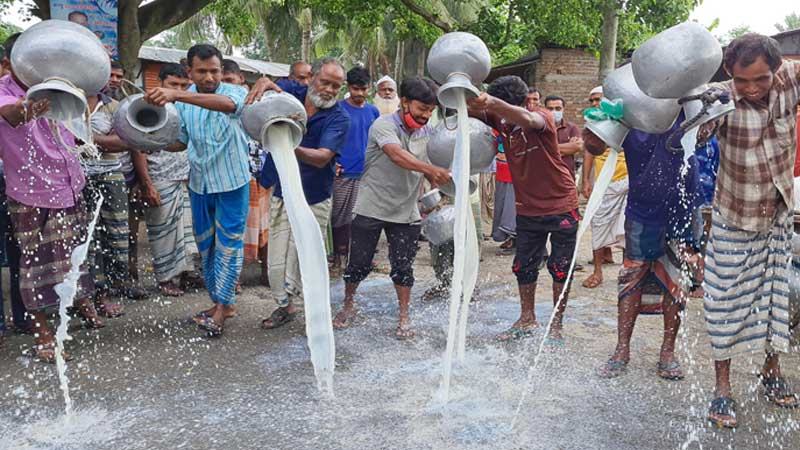 সিংড়ায় ন্যায্যমূল্য না পাওয়ায় মাটিতে দুধ ফেলে প্রতিবাদ