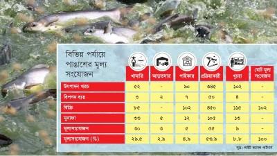 বিত্তহীনদের একমাত্র সুলভ মাছ পাঙাশ