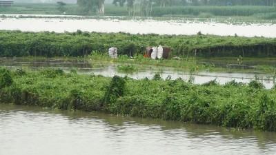 কুড়িগ্রামে পানি বৃদ্ধি, বন্যার আশংকা