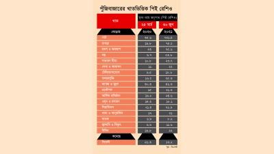 মৌলভিত্তি ও বড় কোম্পানির পিই রেশিও বেড়েছে কম