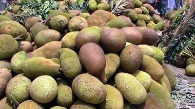 মৌলভীবাজারে এবারো লোকসানে কাঁঠালচাষীরা