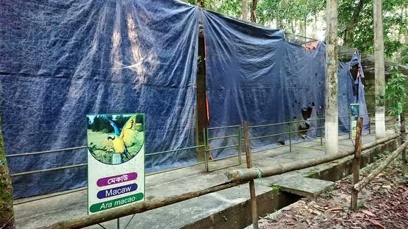 খাঁচায় আলো-বাতাস প্রবেশ বন্ধ, সংকটাপন্ন প্রাণী