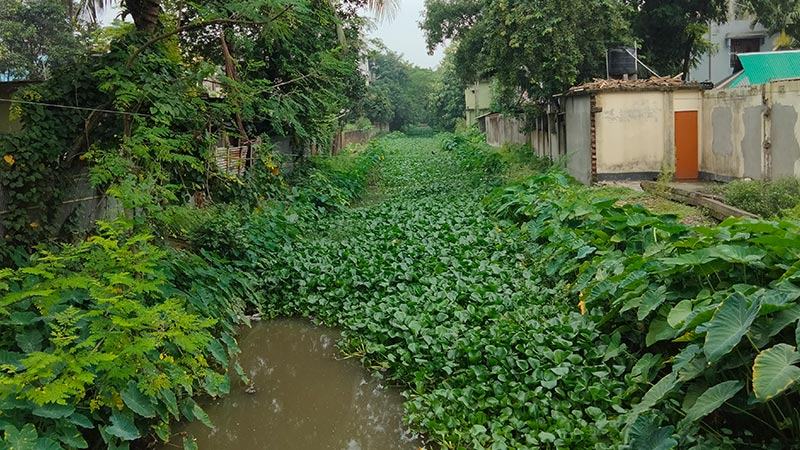 শ্যামাসুন্দরী খাল সংস্কার না হওয়ায় রংপুরে বন্যা আতঙ্ক