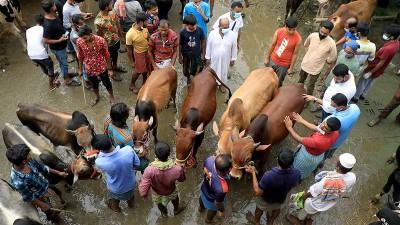 সারাদেশে কোরবানি হয়েছে ৯০ লাখ ৯৩ হাজার ২৪২ পশু