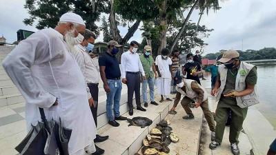 খানজাহান আলীর মাজার দীঘিতে ৭৩ সন্ধি কচ্ছপ অবমুক্ত