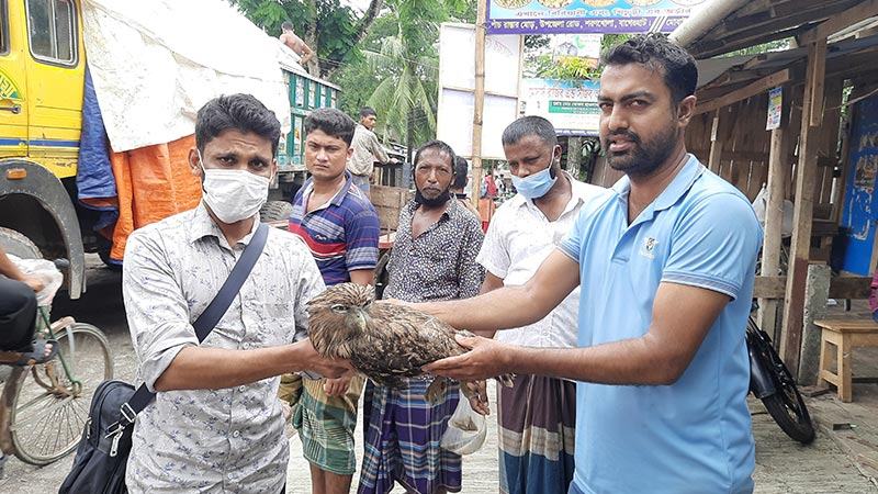বাগেরহাটে বিরল প্রজাতির পেঁচা উদ্ধার