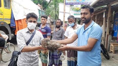বাগেরহাটে বিরল প্রজাতির পেঁচা উদ্ধার