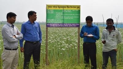 দেশে তেল ও মসলাজাতীয় ফসলের আবাদ বাড়ছে