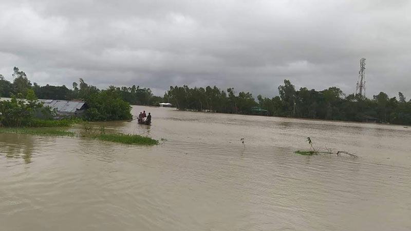 কক্সবাজারে বন্যা হুমকিতে ফসলি জমি