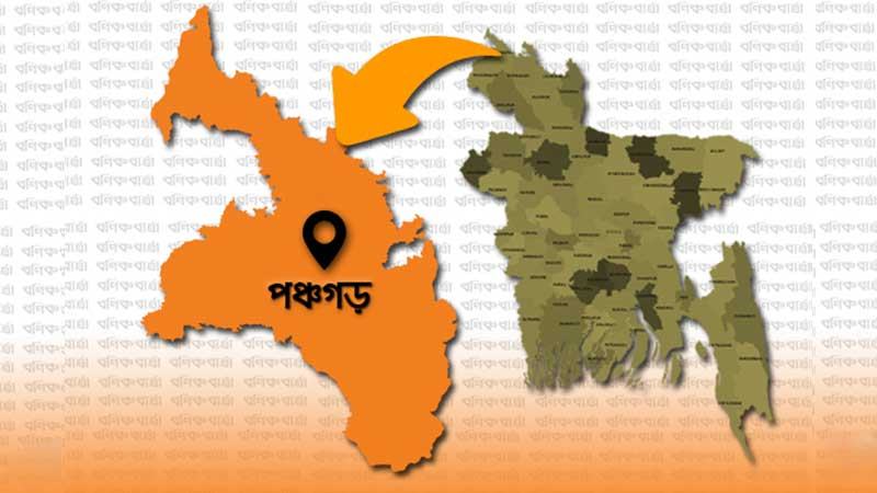 পঞ্চগড়ে শজারু উদ্ধার