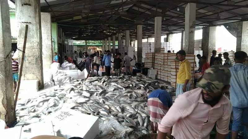 সাগরে ধরা পড়ছে রুপালি ইলিশ, তবে দাম বেশি