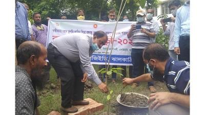 ঝালকাঠিতে এলজিইডির বৃক্ষরোপণ কর্মসূচি