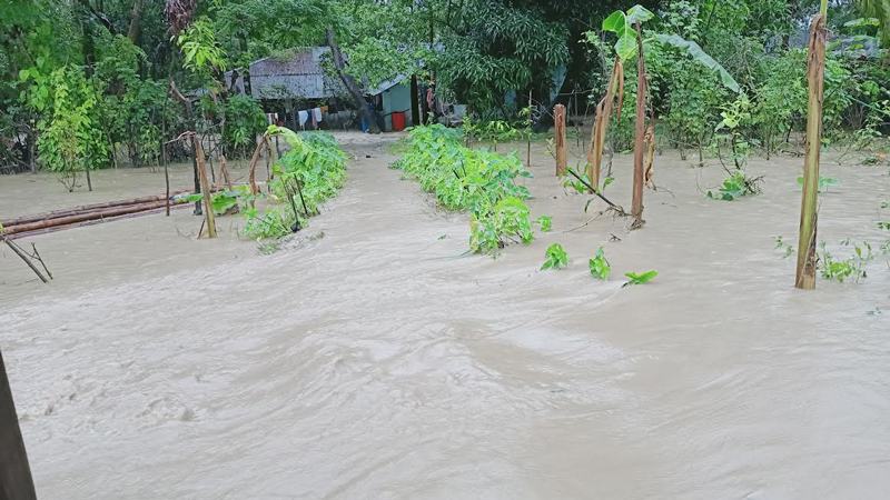 ভারি বর্ষণে কক্সবাজারে ২৩২ কোটি ৫০ লাখ টাকার ক্ষতি