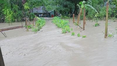 ভারি বর্ষণে কক্সবাজারে ২৩২ কোটি ৫০ লাখ টাকার ক্ষতি