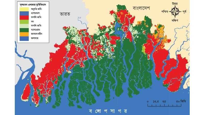 আম্পানে ম্যানগ্রোভের ৮৩ শতাংশই ক্ষতিগ্রস্ত