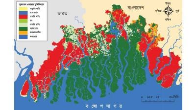 আম্পানে ম্যানগ্রোভের ৮৩ শতাংশই ক্ষতিগ্রস্ত
