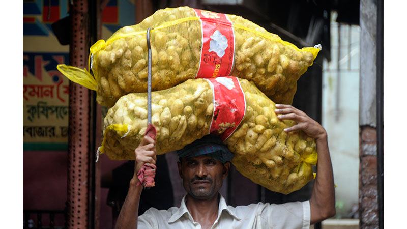 এক মাসে সাড়ে ৫ হাজার টন আদা আমদানি