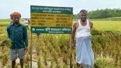 ব্রাহ্মণবাড়িয়ায় আউশের ফলন ভালো হওয়ায় খুশি কৃষক
