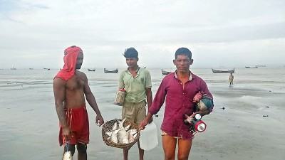 আনোয়ারা উপকূলে অবশেষে জালে ধরা পড়ছে ইলিশ