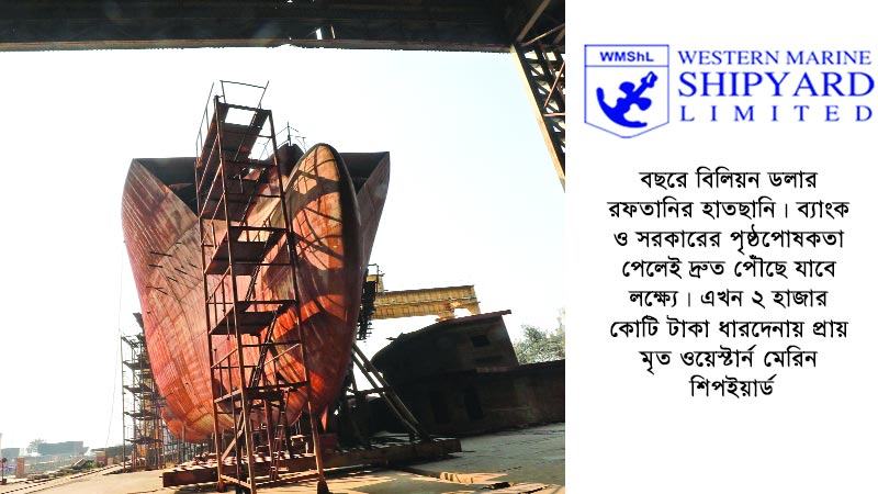 স্বপ্নবাজি, ব্যর্থতা নাকি অর্থ লোপাট?