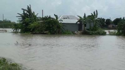ফরিদপুরের পদ্মার অংশে পানি বৃদ্ধি-ভাঙন