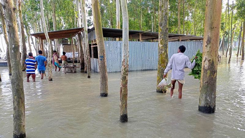 কুড়িগ্রামে ব্রহ্মপুত্রের পানি বিপৎসীমার ওপরে