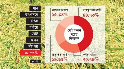 উৎপাদন পর্যায়ে নষ্ট হচ্ছে ধানের এক-পঞ্চমাংশ