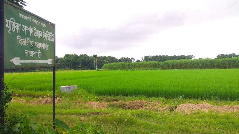 রাজশাহীতে বারির গবেষণা কার্যক্রম ব্যাহত হওয়ার শঙ্কা
