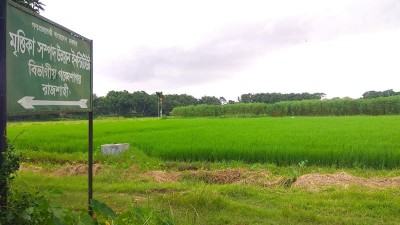 রাজশাহীতে বারির গবেষণা কার্যক্রম ব্যাহত হওয়ার শঙ্কা