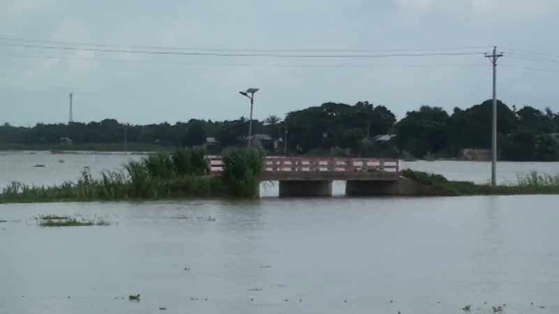 ফরিদপুরে পদ্মার পানি বৃদ্ধি অব্যাহত