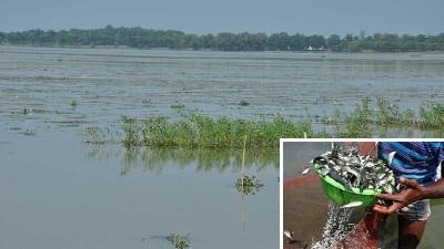 বদলে যাচ্ছে হাকালুকি হাওরের বৈশিষ্ট্য, কমছে মাছের প্রাপ্যতা
