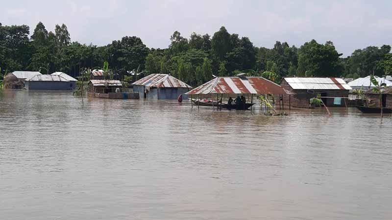 কুড়িগ্রামে নদ-নদীর পানি বিপৎসীমার উপরে,দুর্ভোগে বানভাসীরা