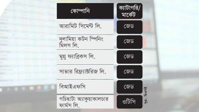রাজনীতি না ব্যবসা পরিচালনায় অদক্ষতা সংকটের কারণ