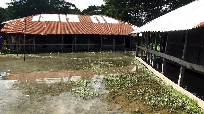 ঝালকাঠিতে স্কুল খুললেও ব্যাহত পাঠদান