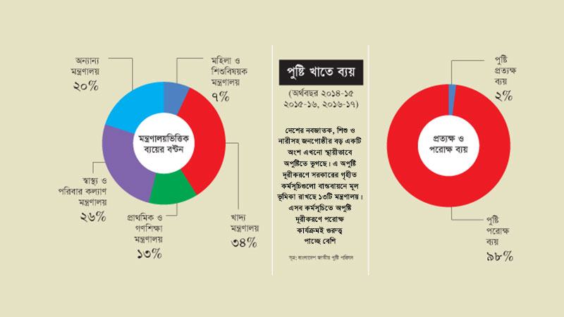 পুষ্টি কার্যক্রমে বরাদ্দের ৯৮% ব্যয় হয় সেমিনারে প্রশিক্ষণে