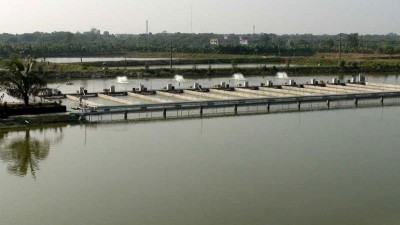 মাছের উৎপাদন বাড়বে আট গুণ