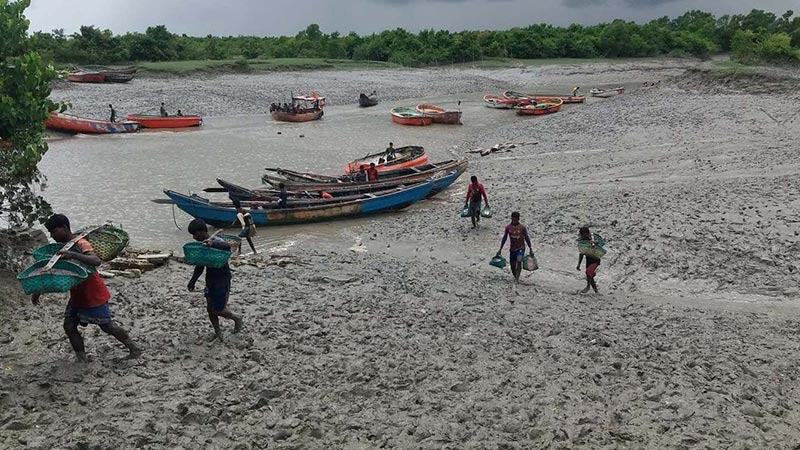 দাদনে পিষ্ট মিরসরাইয়ের শতাধিক জেলে