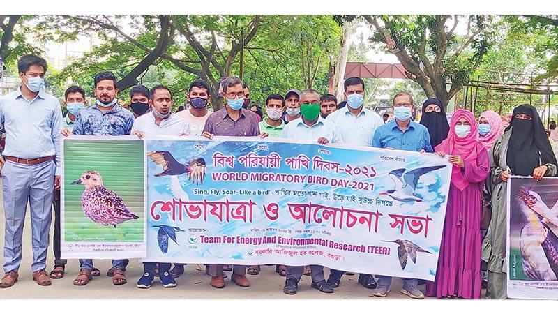 বগুড়ায় বিশ্ব পরিযায়ী পাখি দিবস পালন
