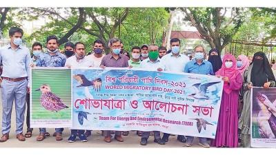বগুড়ায় বিশ্ব পরিযায়ী পাখি দিবস পালন