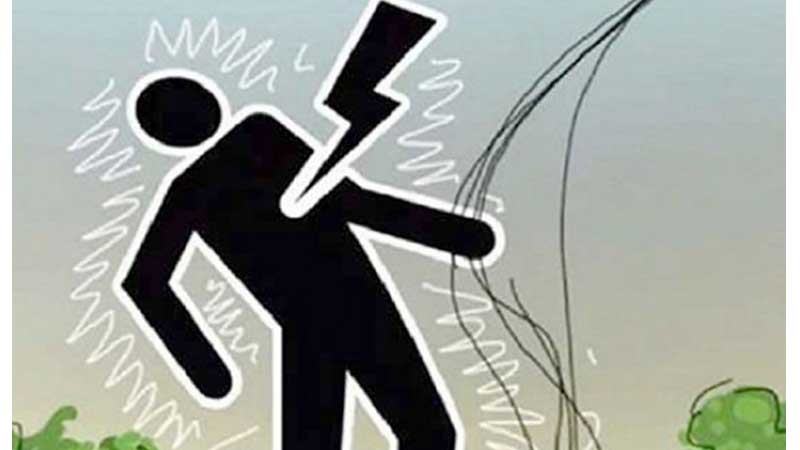 ভোলায় চোরের জন্য পেতে রাখা বিদ্যুতের ফাঁদে কৃষকের মৃত্যু